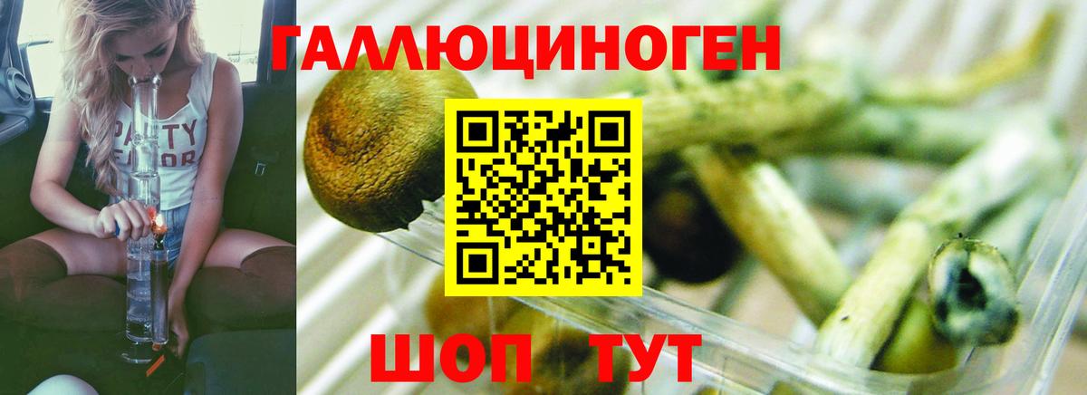 Галлюциногенные грибы мухоморы Звенигород