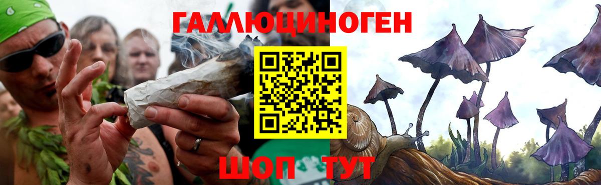 Галлюциногенные грибы GOLDEN TEACHER  Вход с VPN  Псилоцибиновые грибы ЛСД  Звенигород 
