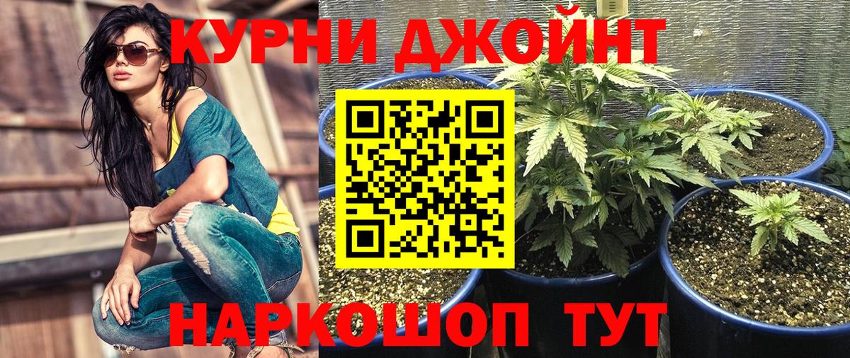 МАРИХУАНА планчик Звенигород