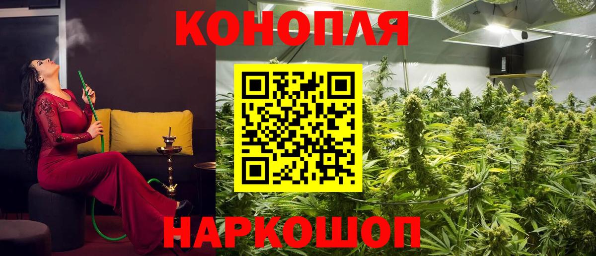 Звенигород  Бошки марихуана план  Каннабис THC 21%  Вход с VPN 
